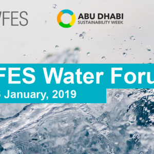 IDA co-organizes with MASDAR and REED Exhibitions the 2019 World Future Energy Summit Water Forum