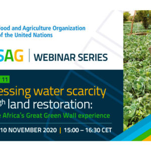 WASAG Webinar 11: Addressing water scarcity through land restoration: the Africa’s Great Green Wall experience, Tuesday 10 November 2020, 15:00 – 16:30 CEST