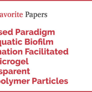 Revised Paradigm of Aquatic Biofilm Formation Facilitated by Microgel Transparent Exopolymer Particles