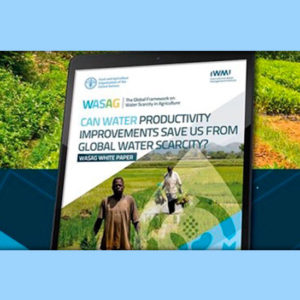 New WASAG White Paper: “Can water productivity improvements save us from global water scarcity?”