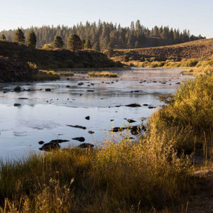 U.S. Reclamation approves $20.5 million to build drought resiliency in five states