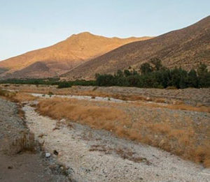 Water Is a Key Issue for Chile’s New Constitution