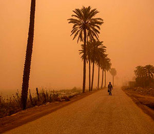 Iraq lays out plans to tackle climate change and address water supply problems