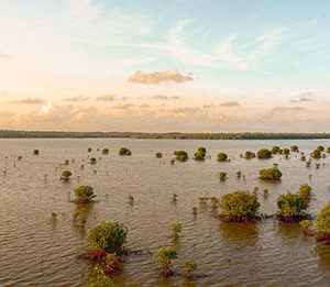 Latest IPCC report prescribes renewables and nature-based solutions as key climate antidotes