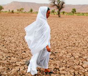 Green hydrogen projects in desert regions could boost clean water for local people: Irena