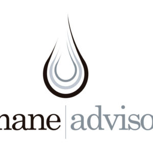 Roland Berger successfully completes acquisition of Amane Advisors and builds a leadership position in water consulting