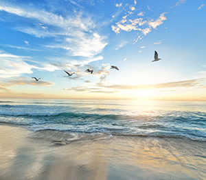 World Leaders Pledge Greater Action to Save Oceans from Existing, Future Threats, Adopting Sweeping Political Declaration as Lisbon Conference Concludes