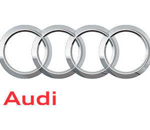 Water recycling at Audi Brussels – commitment to sustainable use of water resources