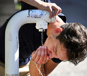 Dutch government declares water shortage due to drought