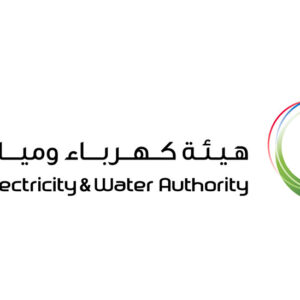 DEWA commissions 558 11 kV distribution substations in first half of 2024