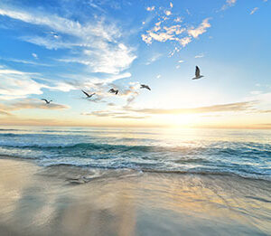 Next Week: Launching of Arab Forum on Desalination of Sea Water by Nuclear Energy