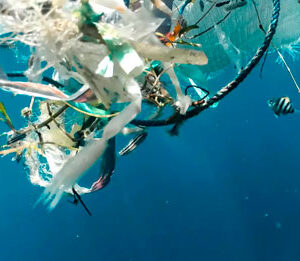Singapore is leading the way in recycling wastewater. What can it teach the rest of the world?