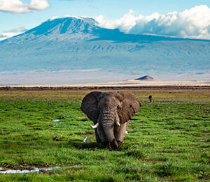 2022: A year of environmental milestones
