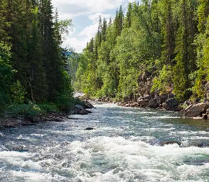 Riding a wave of innovation: These 10 start-ups are securing the world’s freshwater