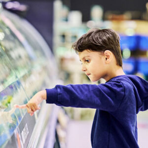 Salling Group and Danfoss collaborate with Microsoft to reduce food loss and energy usage in retail refrigeration