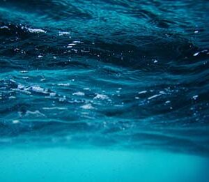 Spotlight: 2 Mexican desalination projects managing political risk