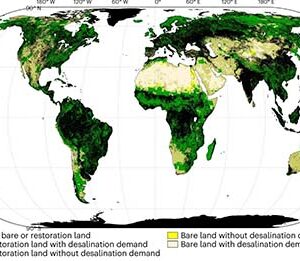 PV-powered seawater desalination for afforestation carbon capture
