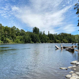 TYPSA awarded to supervise and control improvement projects for the Las Vertientes de Pua irrigation system in the region of Araucania, Chile
