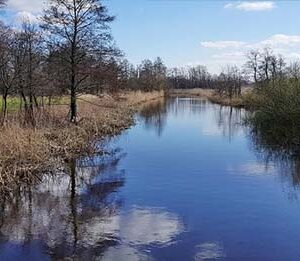 Water Positive: leveraging the synergies between CO2 and water to fight climate change