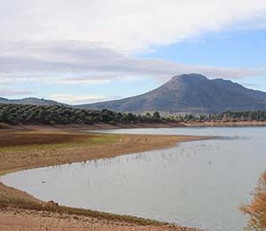 Spain to invest $12.85 bln to alleviate drought impact