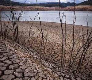 Water lorries and reused wastewater: How EU countries battle drought