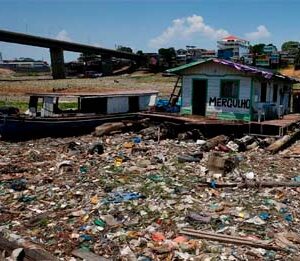 Brazil’s Amazon rainforest faces severe drought, affecting food and water supplies for thousands