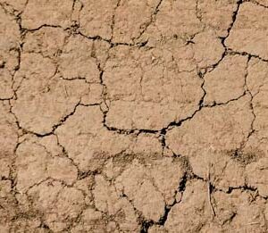 Drought conditions expanding across North Carolina