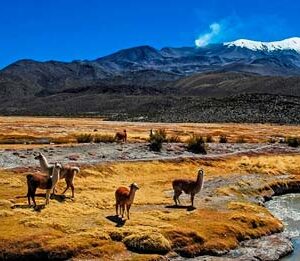 CAF approves US$240 million to improve water security in Bolivia