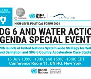 Launch of United Nations System-wide Strategy for Water and Sanitation