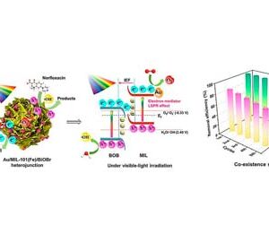 Scientists develop multifunctional photocatalyst for wastewater treatment