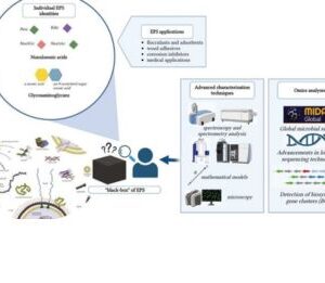 Materials of the future can be extracted from wastewater