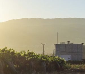 Pioneering water reuse: Lebanon’s first national standards and their impact on agriculture