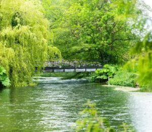 Southern Water unveils plans for new water recycling plant on Isle of Wight